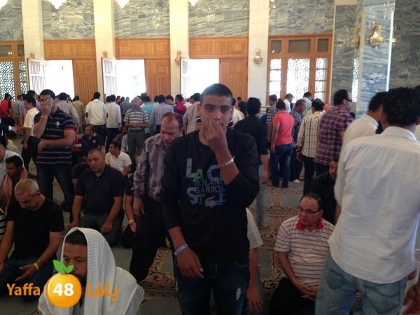 sharmelskhe7 (39).JPG